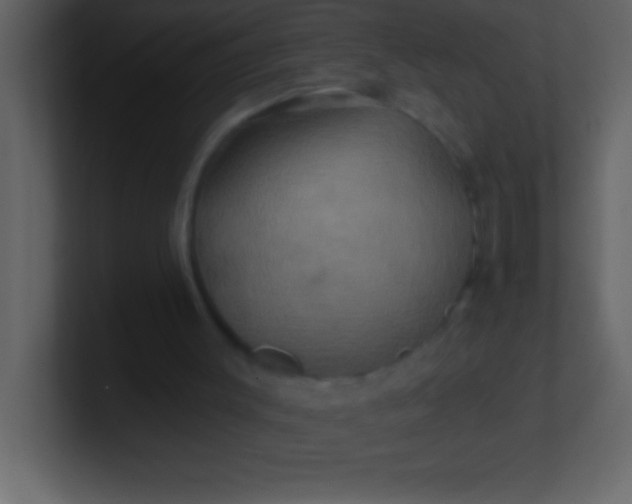 X0000100920003200807081201