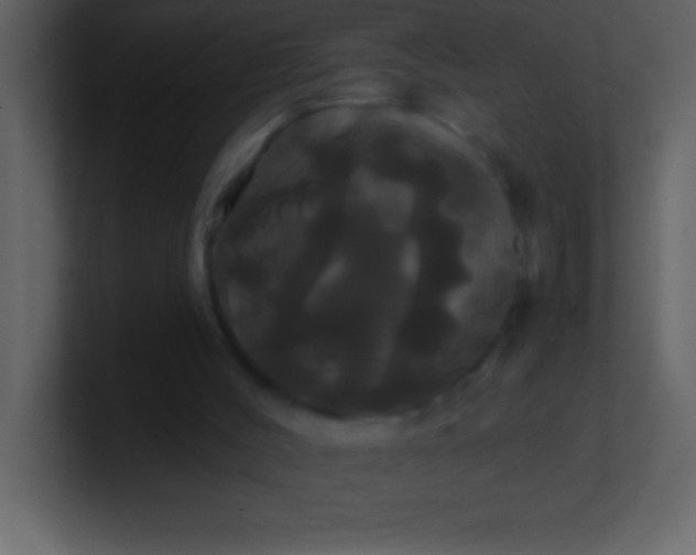 X0000100920004200807081201