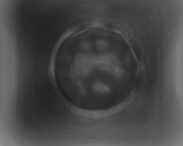 X0000100920006200807081201