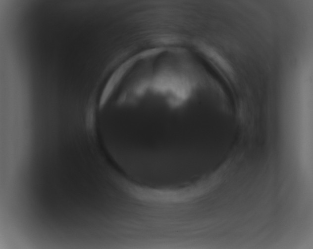 X0000100920010200807081201