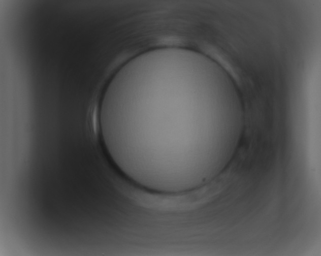 X0000100920011200807081201