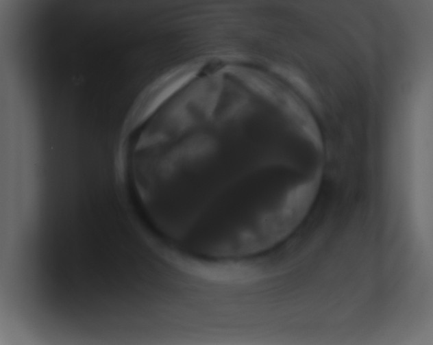 X0000100920012200807081201