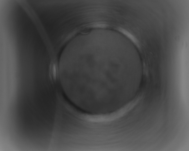 X0000100920013200807081201