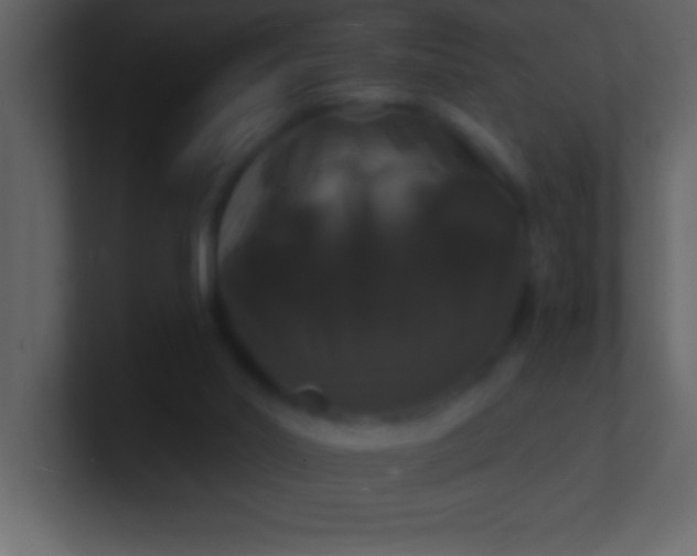 X0000100920014200807081201