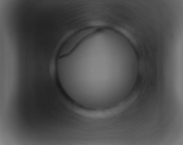 X0000100920015200807081201