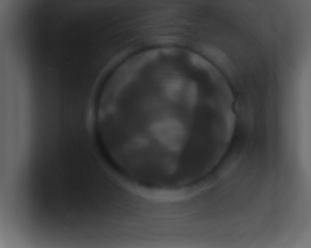 X0000100920016200807081201