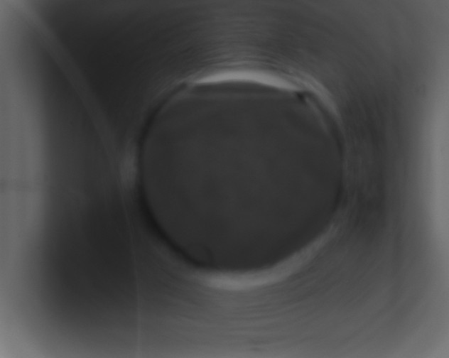 X0000100920017200807081201