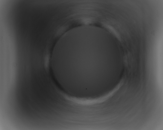 X0000100920018200807081201