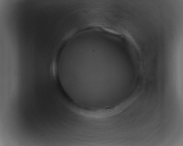 X0000100920019200807081201