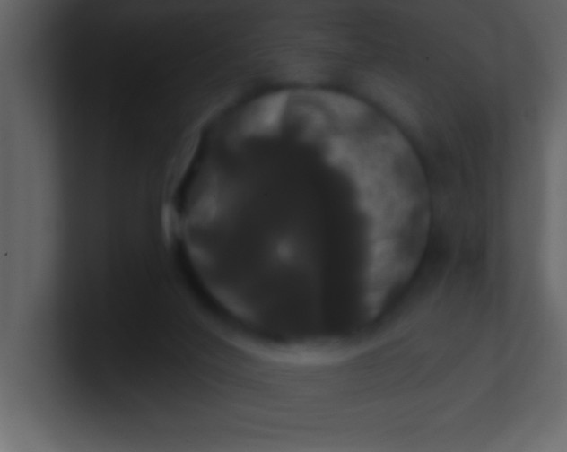 X0000100920020200807081201