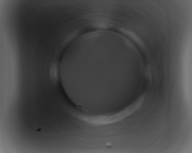 X0000100920023200807081201