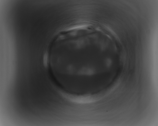 X0000100920024200807081201