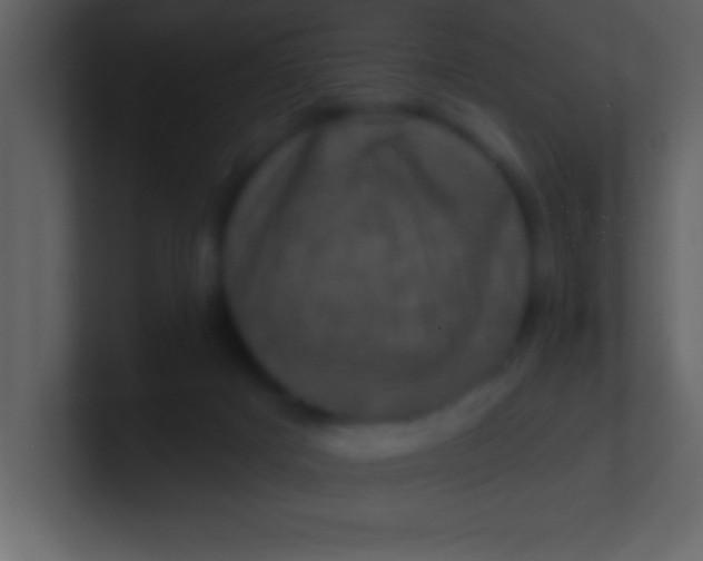 X0000100920025200807081201