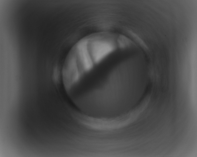 X0000100920026200807081201