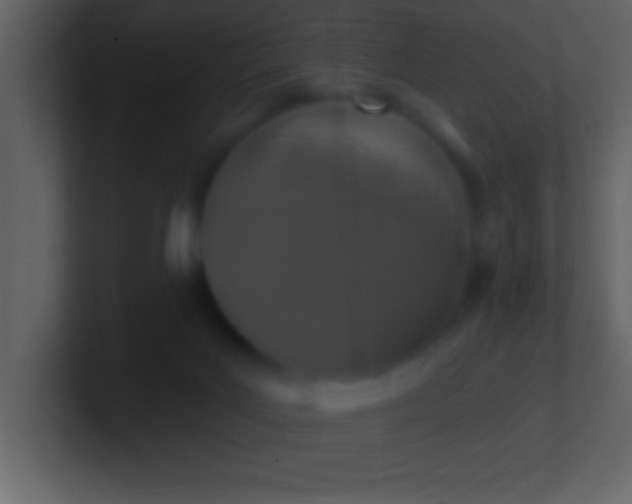 X0000100920027200807081201