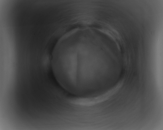 X0000100920029200807081201