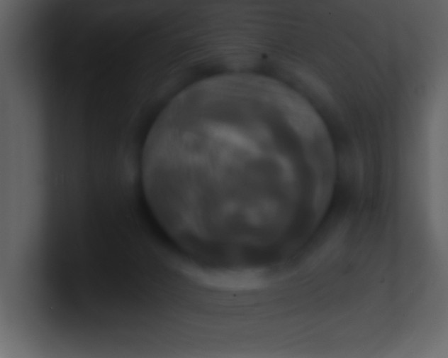 X0000100920032200807081201