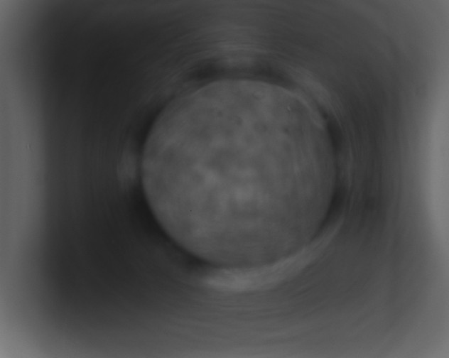 X0000100920033200807081201