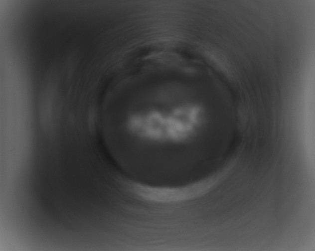 X0000100920034200807081201