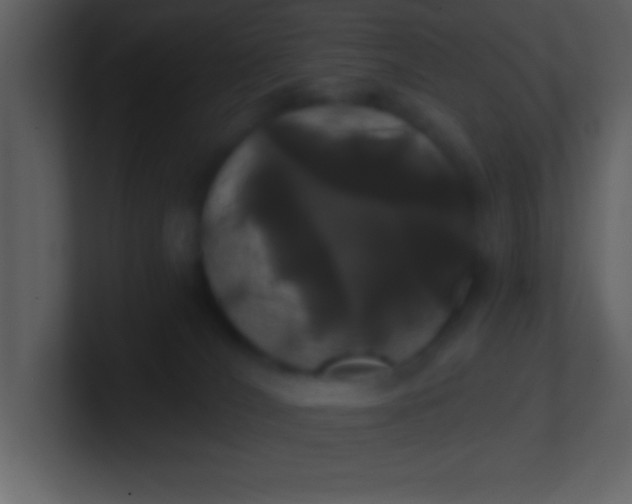 X0000100920036200807081201