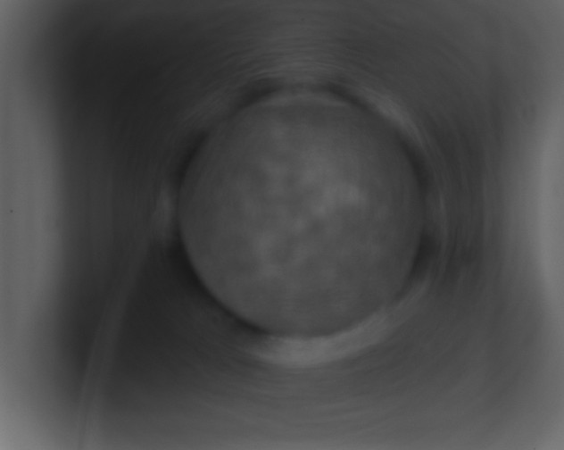 X0000100920037200807081201