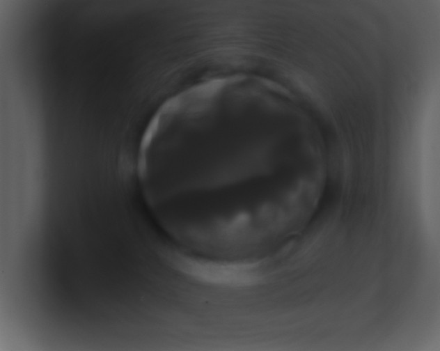 X0000100920040200807081200