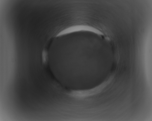 X0000100920041200807081200