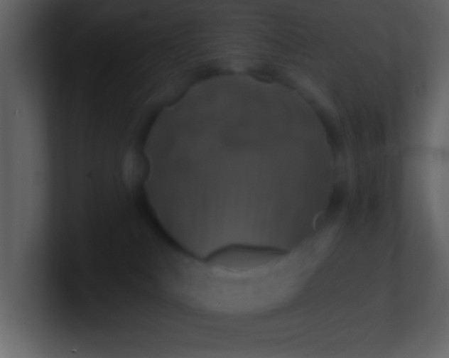 X0000100920043200807081200