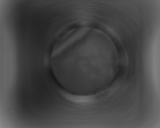 X0000100920044200807081200