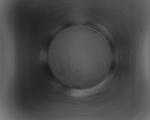 X0000100920045200807081200