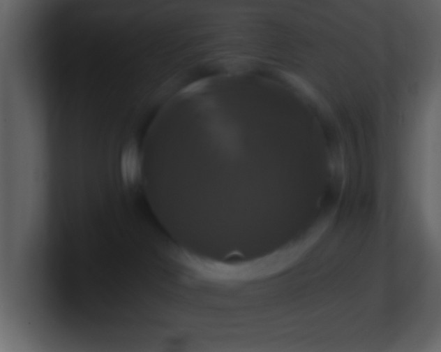 X0000100920046200807081200