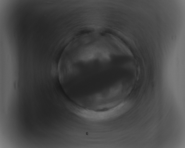 X0000100920048200807081200