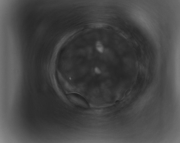 X0000100920049200807081200