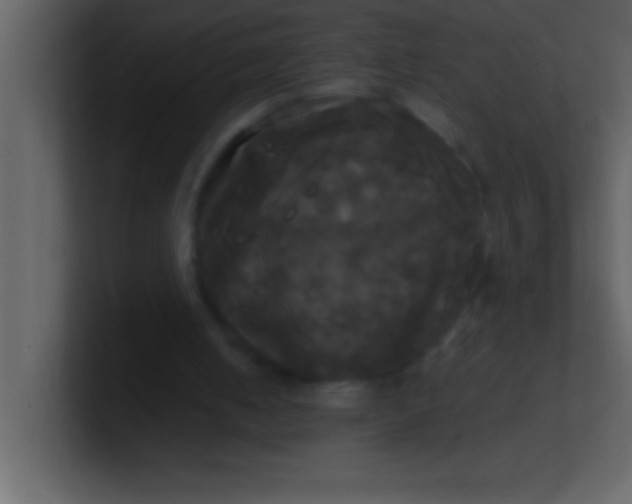 X0000100920050200807081200