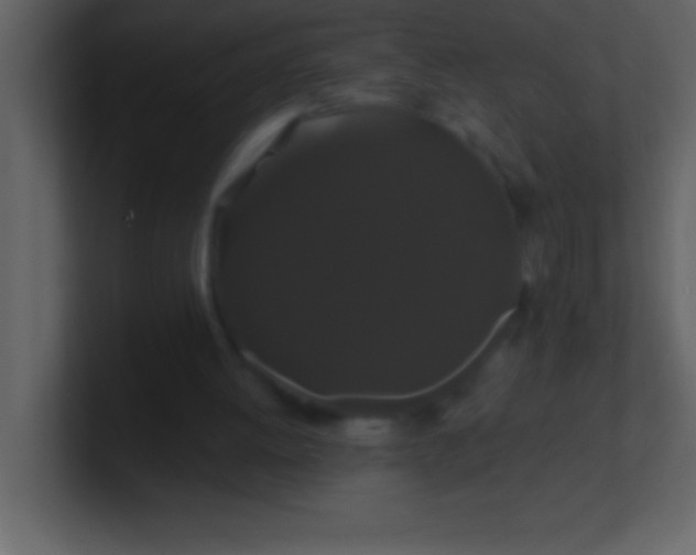 X0000100920052200807081200