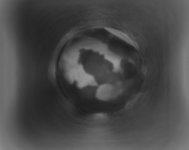 X0000100920053200807081200