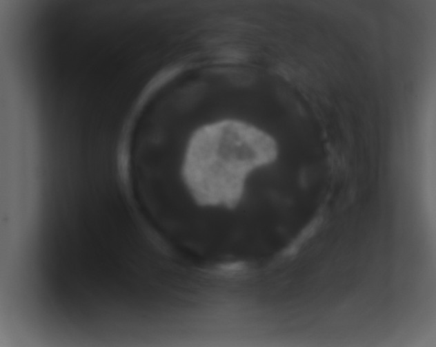 X0000100920054200807081200