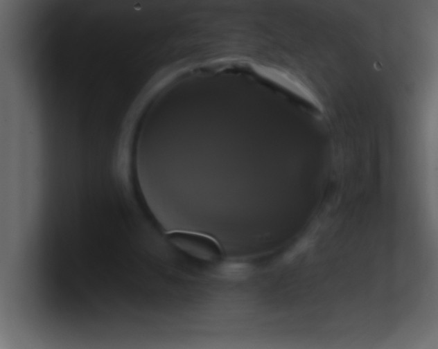 X0000100920055200807081200