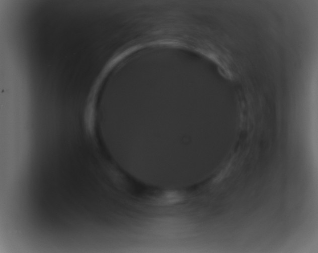 X0000100920056200807081200