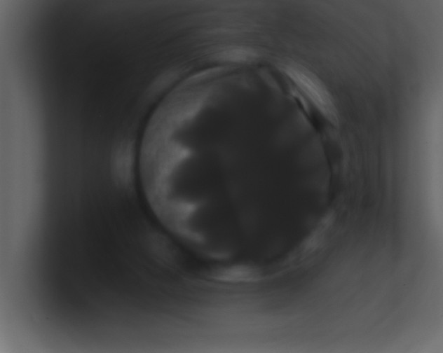 X0000100920058200807081200