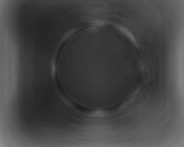 X0000100920059200807081200