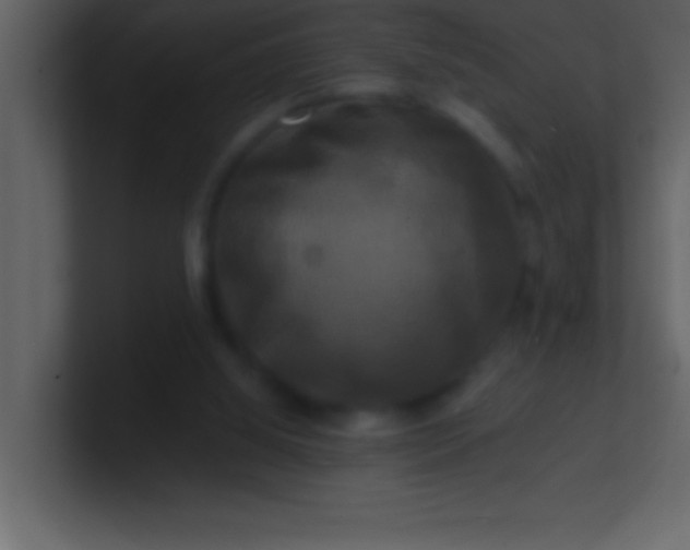 X0000100920060200807081200