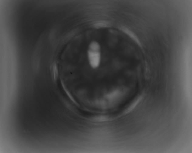 X0000100920061200807081200