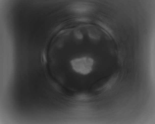 X0000100920062200807081200