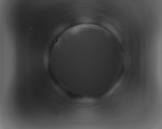 X0000100920063200807081200