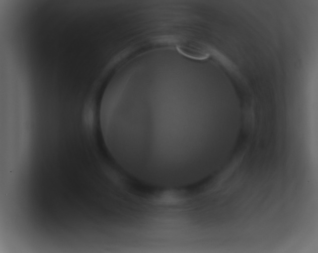 X0000100920064200807081200