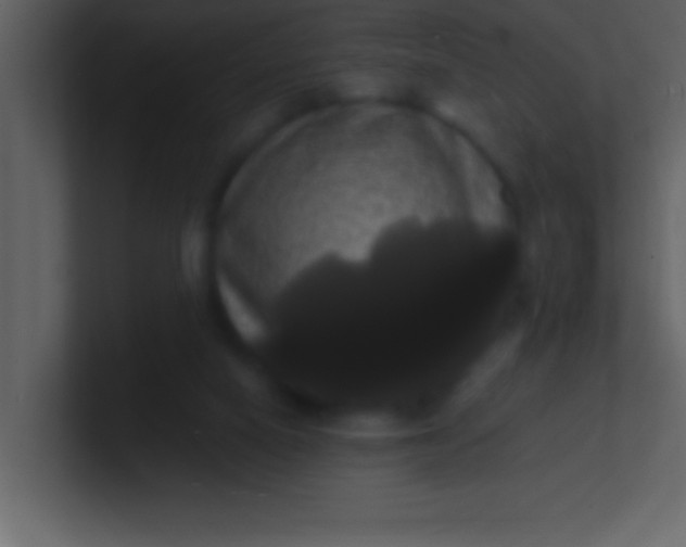 X0000100920066200807081200