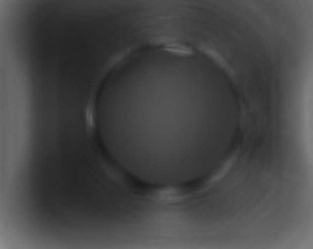 X0000100920068200807081200