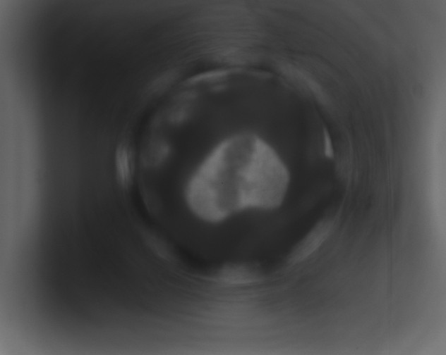 X0000100920070200807081200