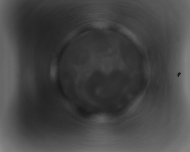 X0000100920071200807081200